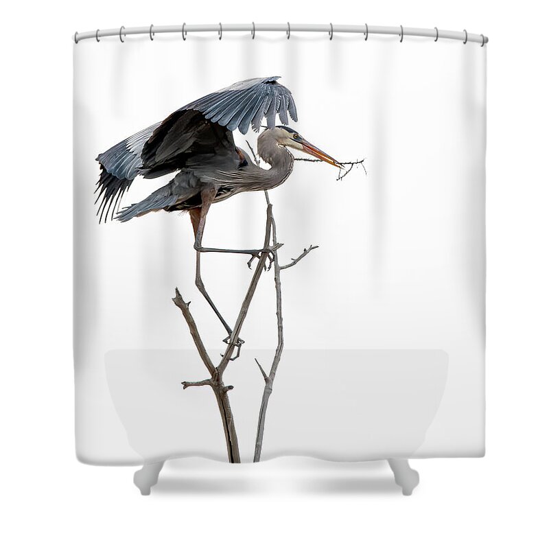 Stillwater Wildlife Refuge Shower Curtain featuring the photograph Great Blue Heron 8 by Rick Mosher