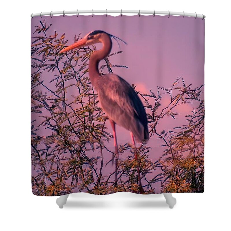 Arizona Shower Curtain featuring the photograph Great Blue Heron - Artistic 6 by Judy Kennedy