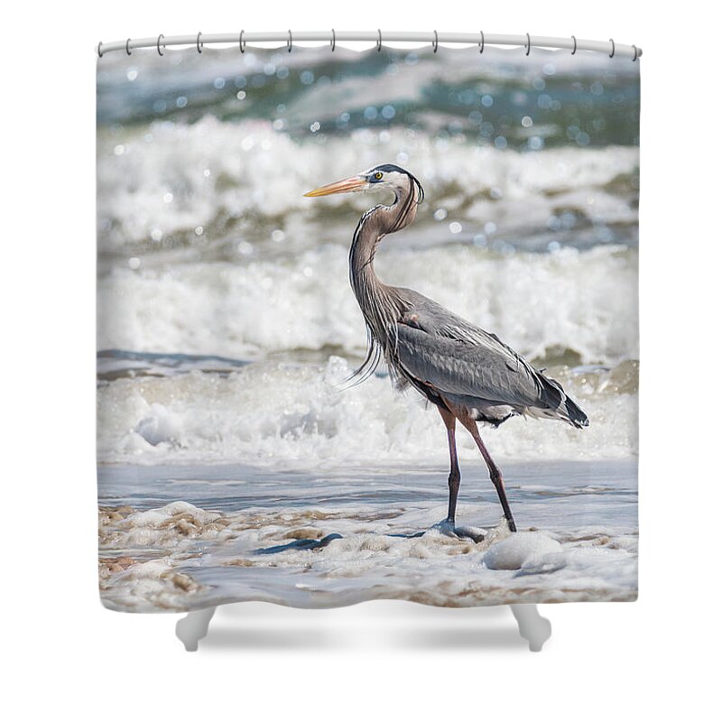 Heron Shower Curtain featuring the photograph Great Blue Heron Wet Look by Patti Deters