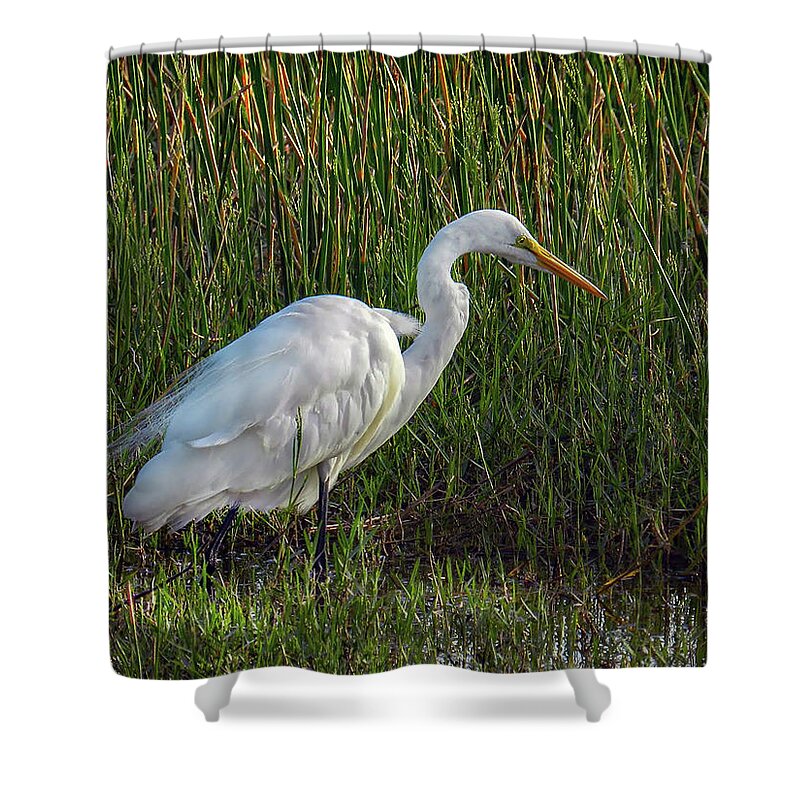 Wildlife Shower Curtain featuring the photograph Great Egret at Sunset by Laura Putman