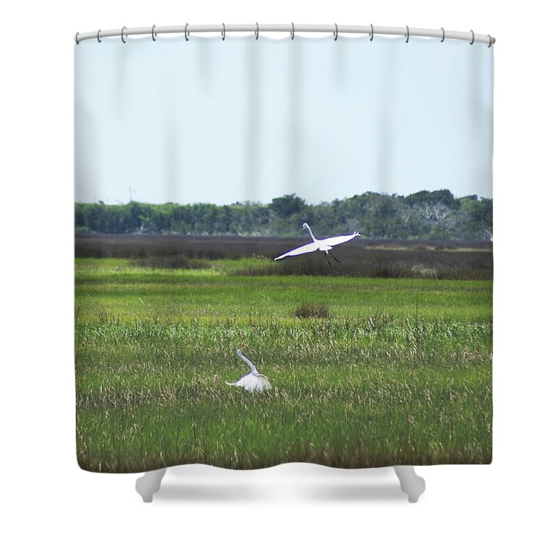  Shower Curtain featuring the photograph Great Egrets by Heather E Harman