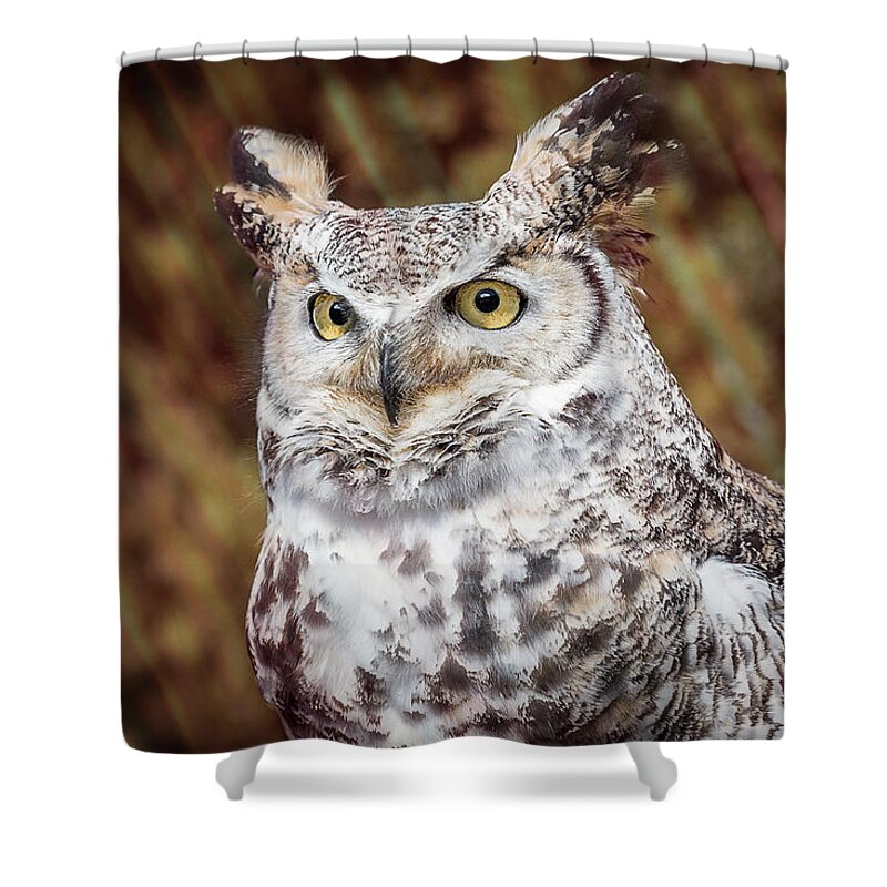 Owl Shower Curtain featuring the photograph Great Horned Owl Portrait by Patti Deters