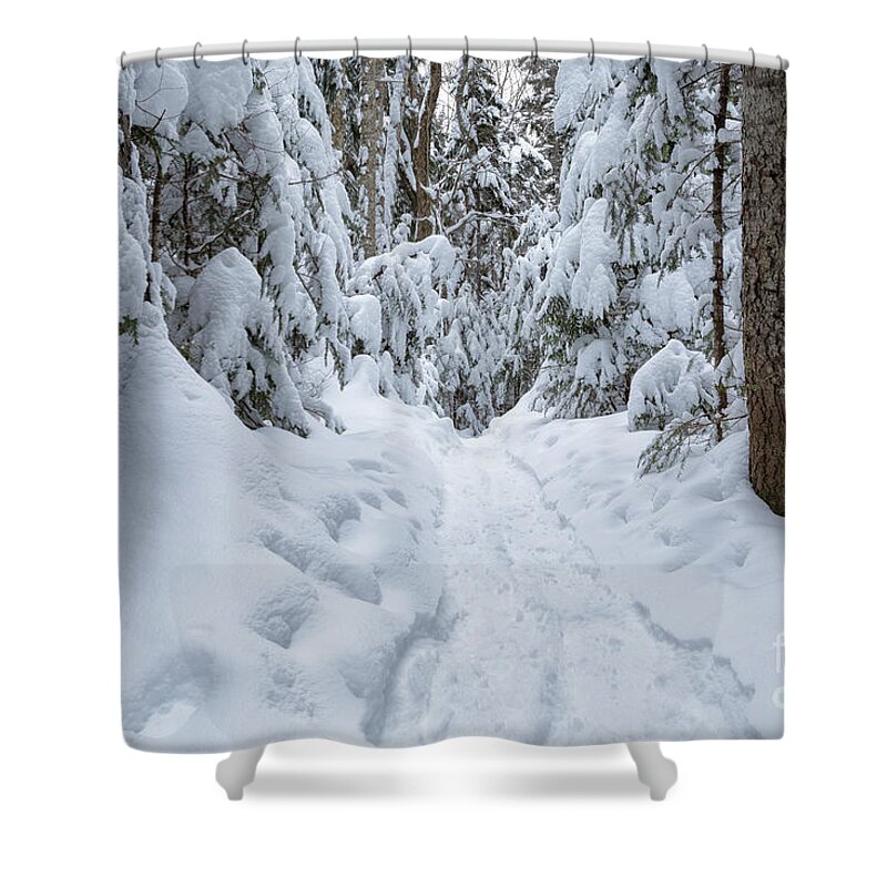 Environment Shower Curtain featuring the photograph Greeley Ponds Trail - White Mountains, New Hampshire by Erin Paul Donovan