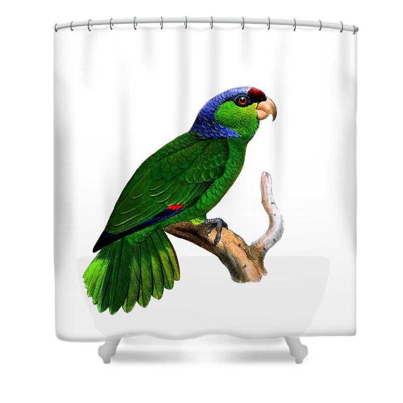 Parakeet Shower Curtains