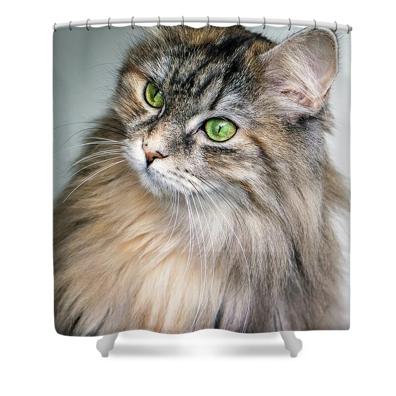 Sea Shower Curtain featuring the photograph Green Eyed Louie by Michael Graham