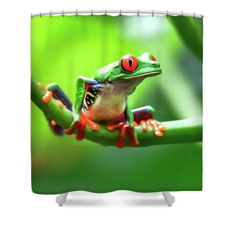 Green Forest Friends Shower Curtain by Karen Wiles - Fine Art America