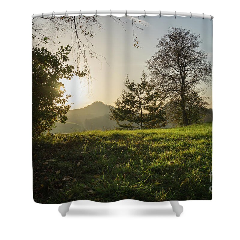 Saxon Switzerland Shower Curtain featuring the photograph Green meadow and golden light 2 by Adriana Mueller