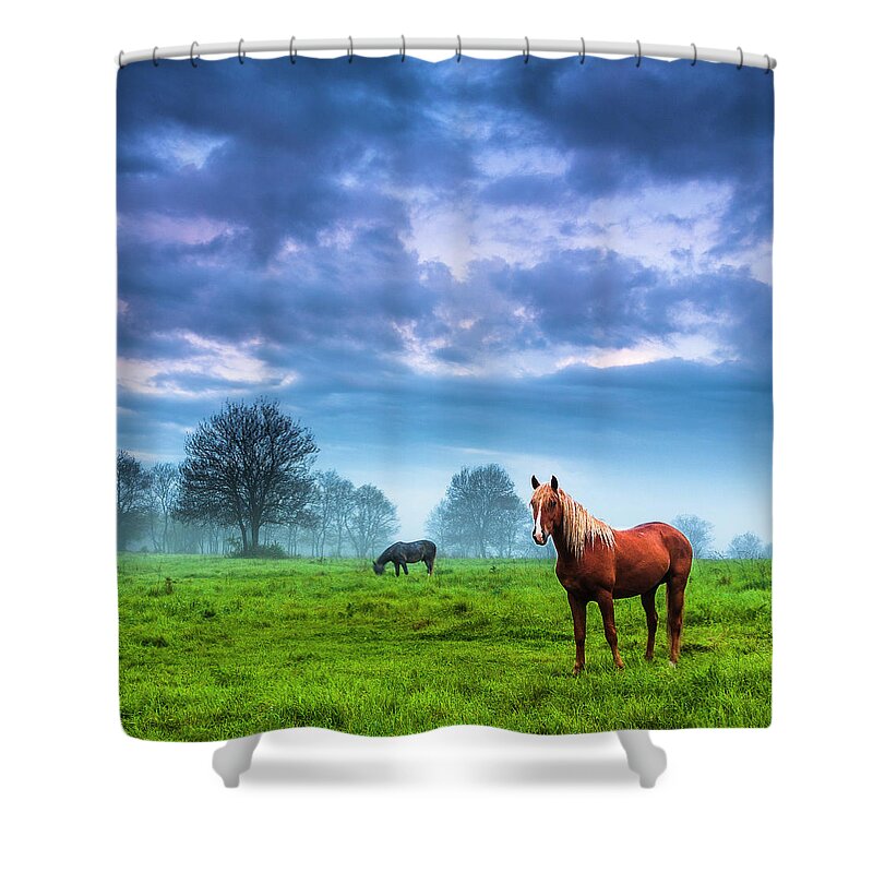 Fog Shower Curtain featuring the photograph Green Morn by Evgeni Dinev