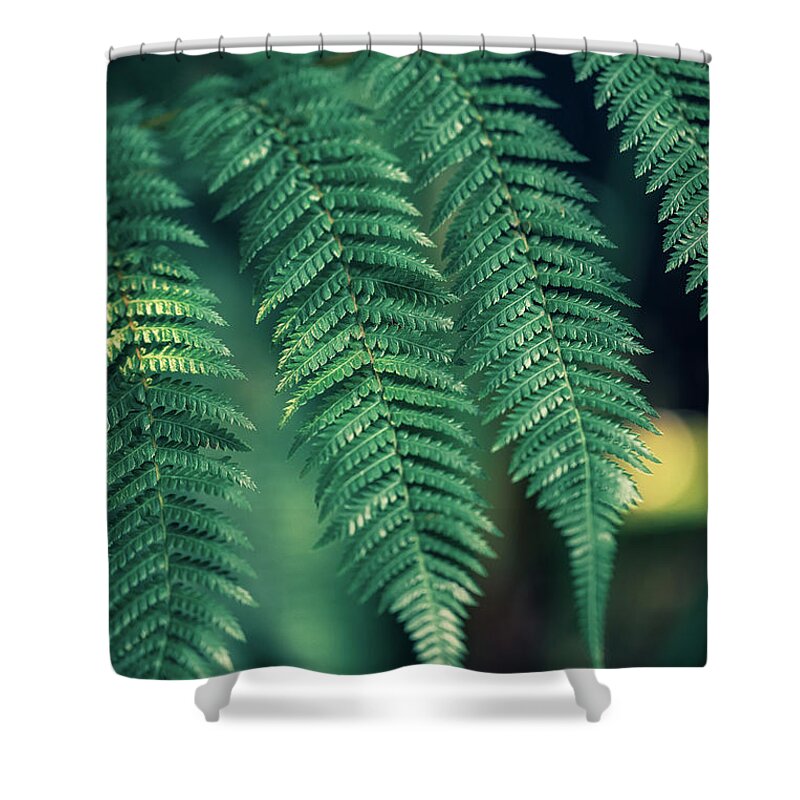 Decoration Shower Curtain featuring the photograph Green plants in natural conditions by Benoit Bruchez