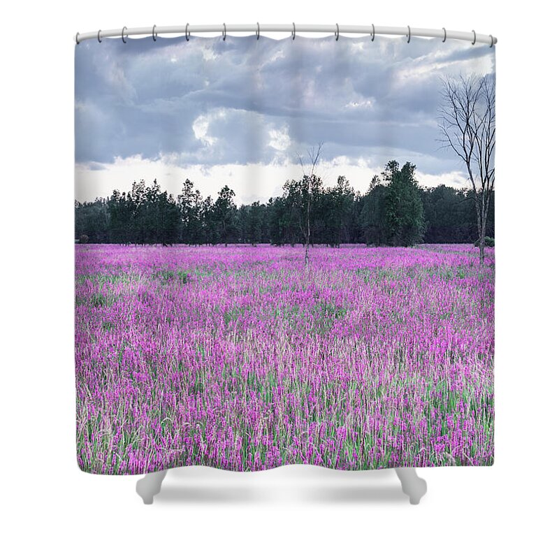Easter Shower Curtain featuring the mixed media Grey and Pink by Moira Law