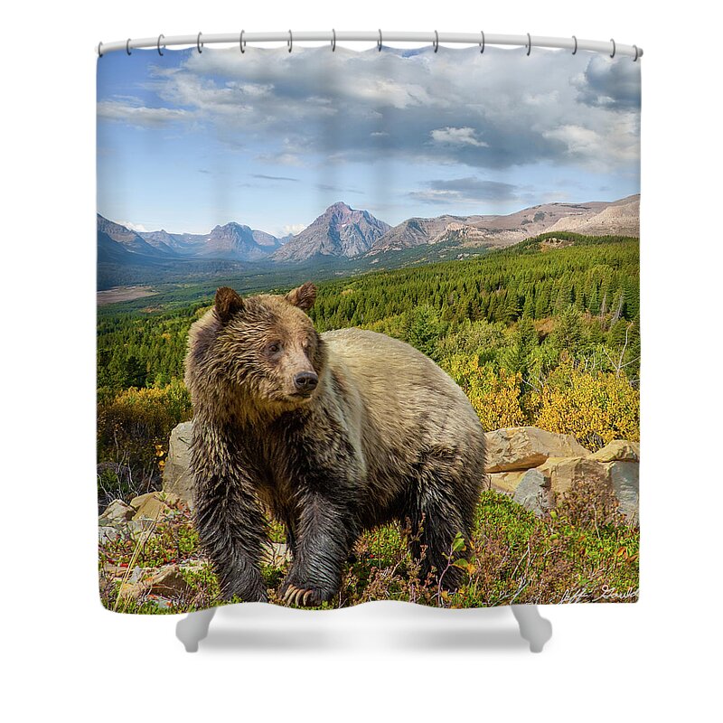 Adult Shower Curtain featuring the photograph Grizzly Bear in Glacier National Park by Jeff Goulden