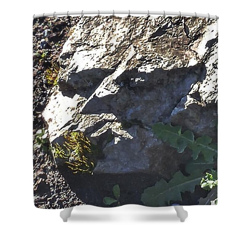 Stones Shower Curtain featuring the photograph Grumpy Rock by Kimberly Furey