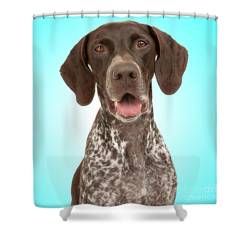 Dog Dogs Doggie Art German Shorthaired Pointer Gsp Fine Art Photography  Shower Curtain featuring the photograph GSP Joy by Renee Spade Photography
