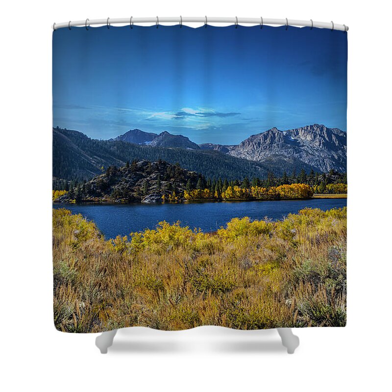 Eastern Sierras Shower Curtain featuring the photograph Gull Splendor by Marco Crupi