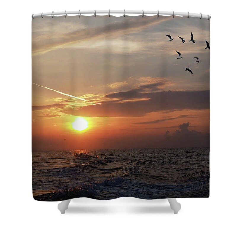 Birds Shower Curtain featuring the photograph Gulls in the Gulf by James C Richardson