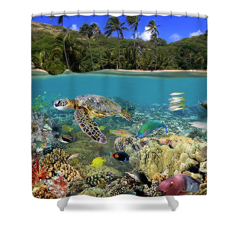 Ocean Shower Curtain featuring the photograph Hanauma Bay by Artesub