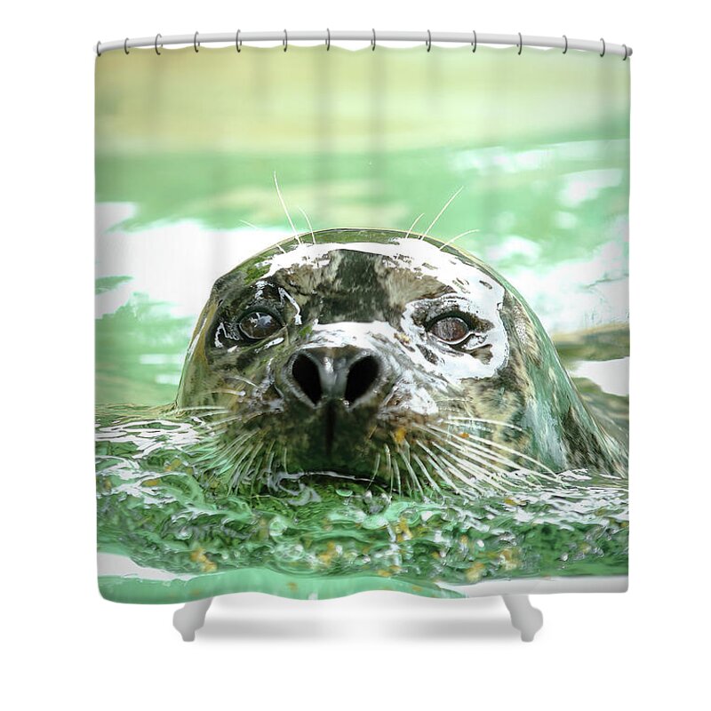 Harbor Seal Shower Curtain featuring the photograph Harbor Seal by Lens Art Photography By Larry Trager
