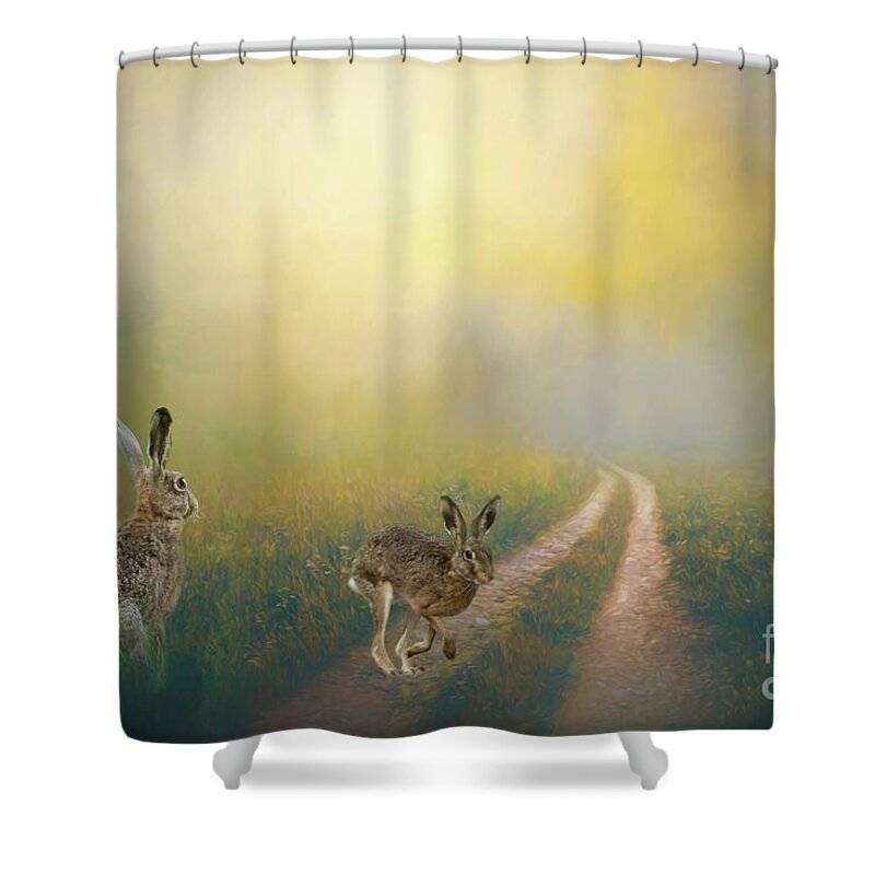 European Hare Shower Curtains