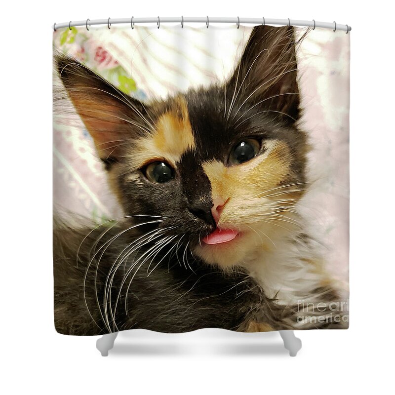 Kitten; Cute Kitten; Cat; Cute Cat; Tortoiseshell; Calico; Cute; Animal; Pet; Funny; Tongue; Silly; Happy; Square Shower Curtain featuring the photograph Harlequin by Tina Uihlein