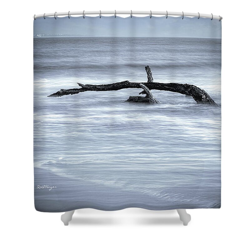 Nature Shower Curtain featuring the photograph Harmonious Driftwood II by DB Hayes