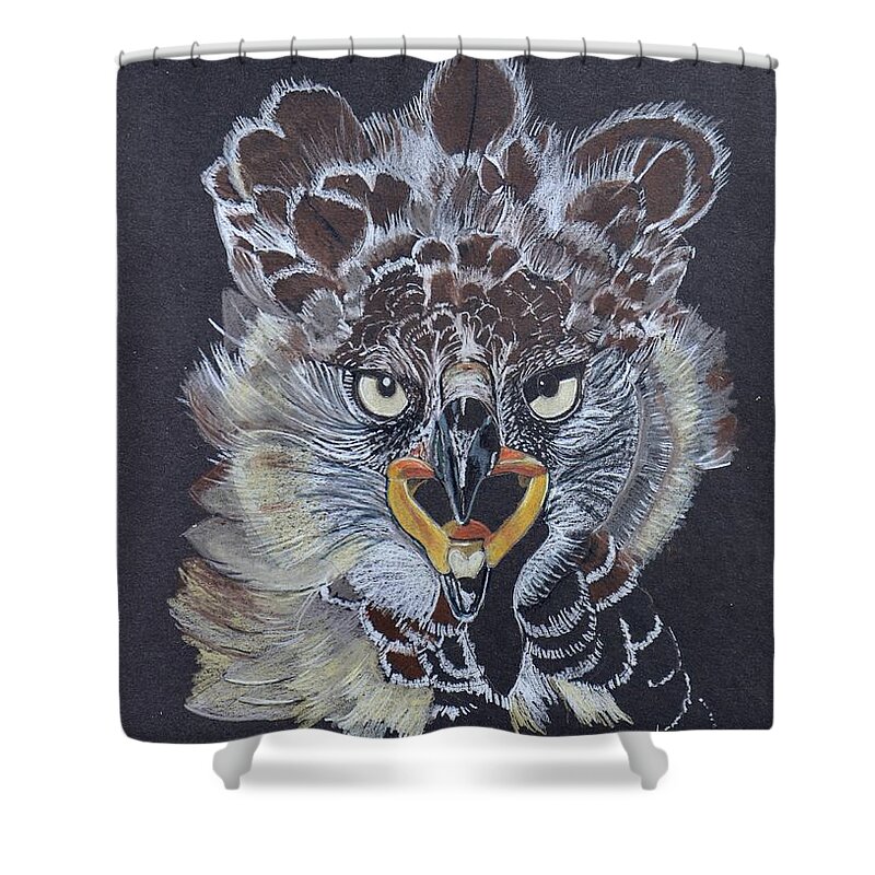 Brown Shower Curtain featuring the drawing Harpy by Kimberly Walker