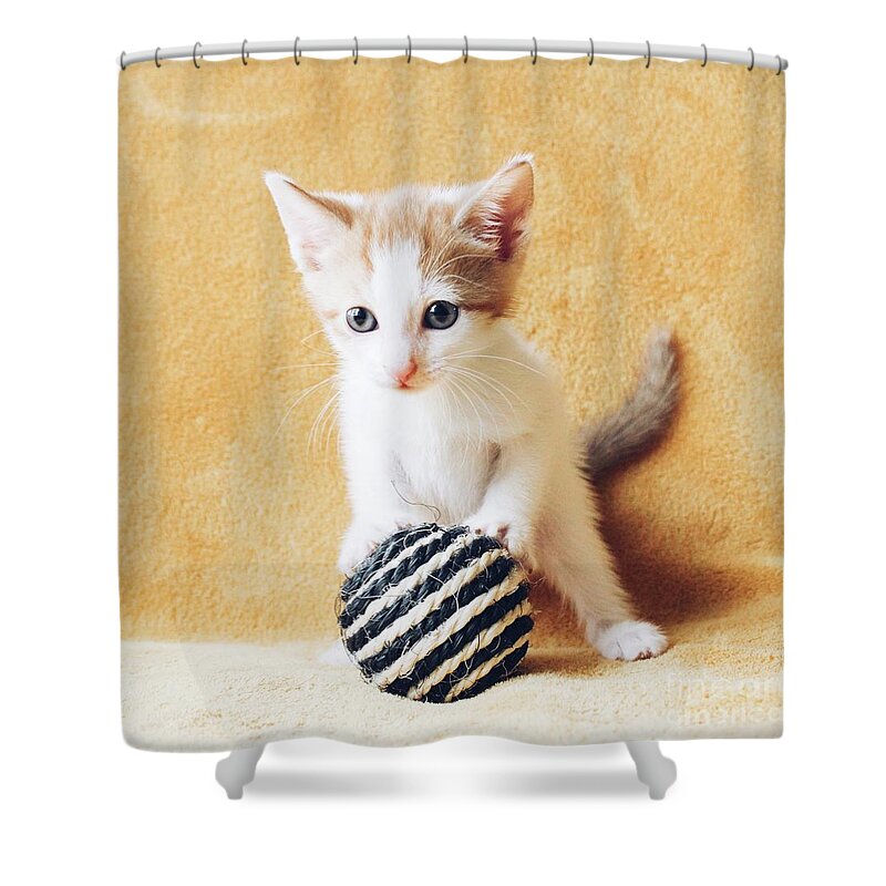 Sea Shower Curtain featuring the photograph Having a Ball by Michael Graham