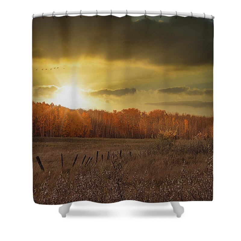 Fall Shower Curtain featuring the photograph Heading South For the Winter by Phil And Karen Rispin