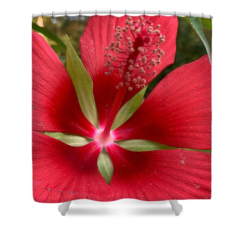 Flower Shower Curtain featuring the photograph Heart of Beauty by Lee Darnell