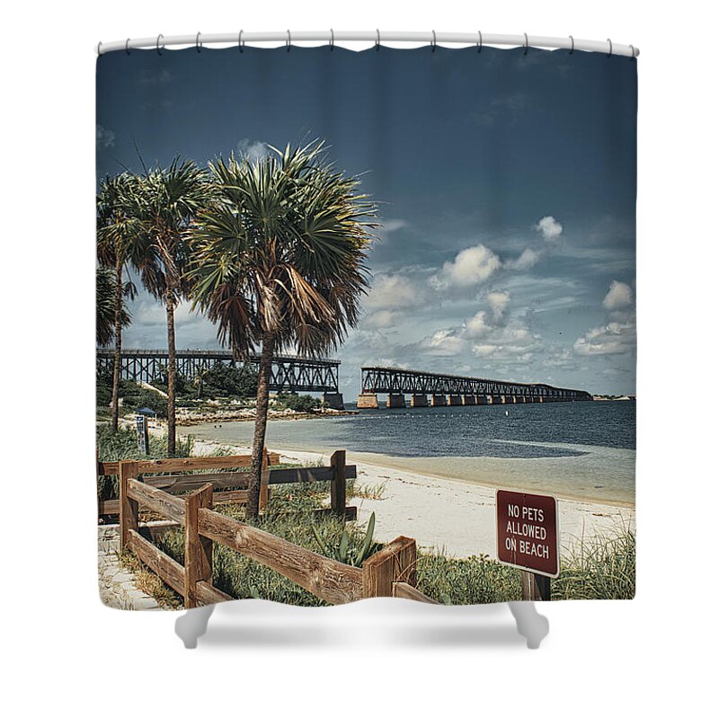 Tree Shower Curtain featuring the photograph Heart of the Florida Keys by Portia Olaughlin
