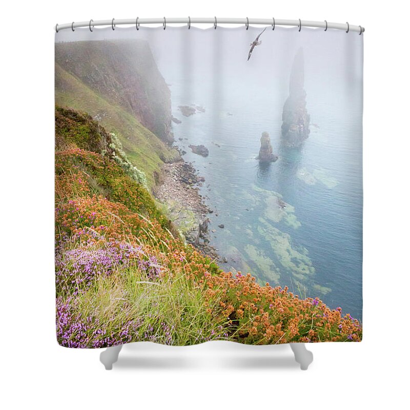 Beach Shower Curtain featuring the photograph Heather, sea fret, fulmar and the Stacks of Duncansby by Anita Nicholson