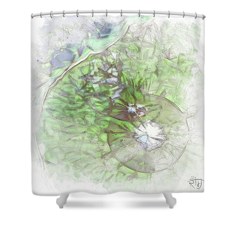 Painting Shower Curtain featuring the digital art Heaven on Earth Series - Untitled VI by Red Ram