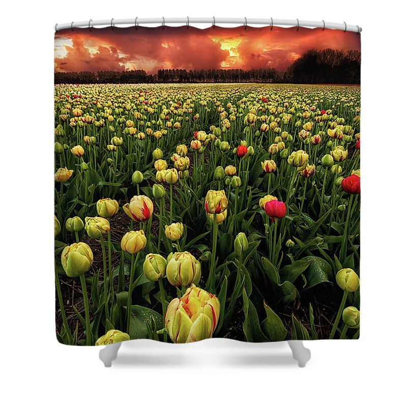 Landscape Shower Curtain featuring the photograph Heavenly fields by Jorge Maia