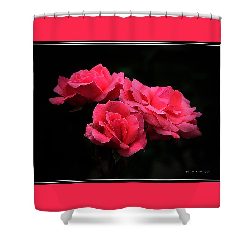 Rose Shower Curtain featuring the photograph Heavenly Roses by Mary Walchuck