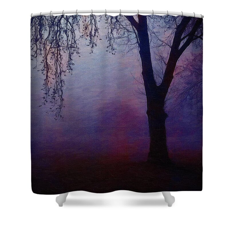 Twilight Shower Curtain featuring the digital art Heavenly shades by Chris Armytage