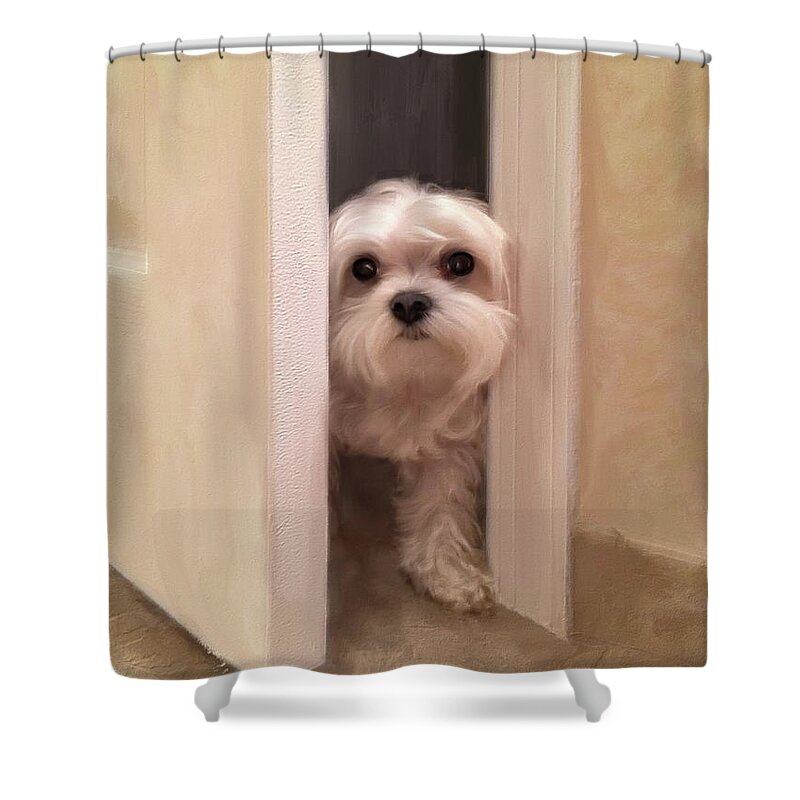 Maltese Shower Curtain featuring the digital art Hello by Lois Bryan