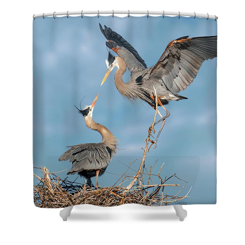 Great Blue Shower Curtain featuring the photograph Hello, my Sweetiepie by Judi Dressler