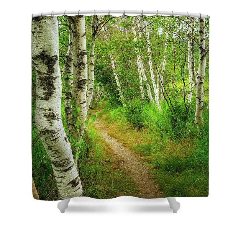 Acadia Shower Curtain featuring the photograph Hemlock Road, Sieur de Monts, Acadia National Park. by Jeff Sinon
