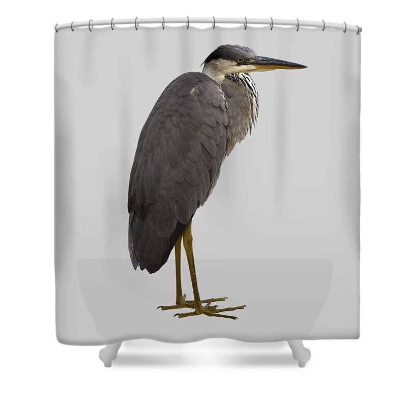 Heron Shower Curtain featuring the photograph Heron by Attila Meszlenyi