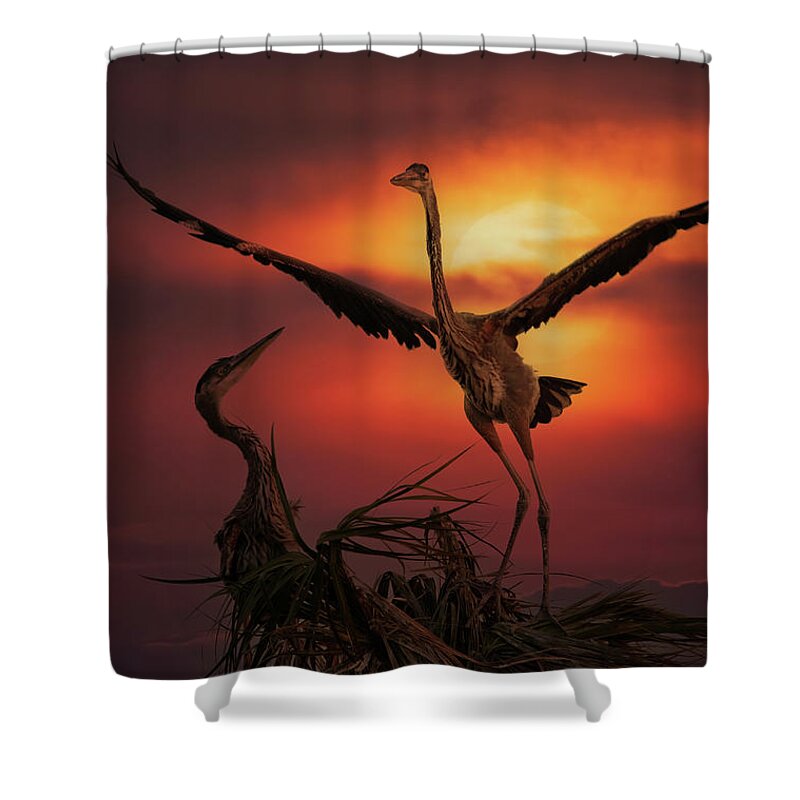 Great Shower Curtain featuring the photograph Heron Nest by Wade Aiken