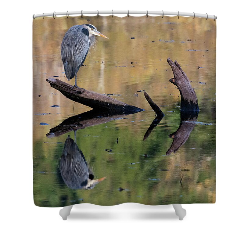 Kmaphoto Shower Curtain featuring the photograph Heron Reflection by Kristine Anderson
