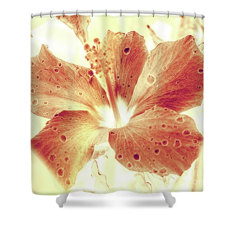 Hibiscus Shower Curtain featuring the photograph Hi-biscus by Jorgo Photography