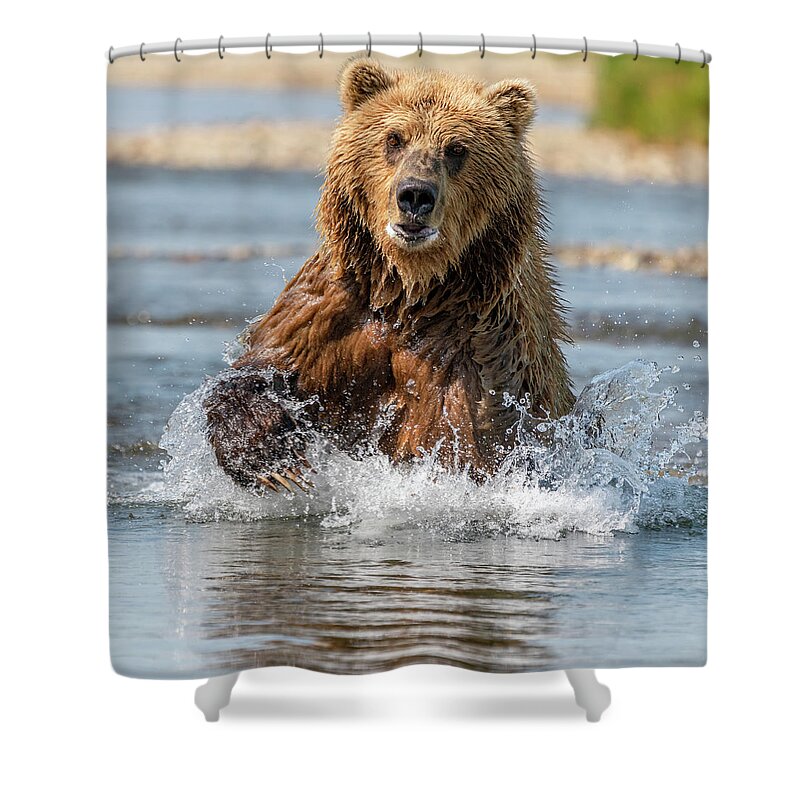  Shower Curtain featuring the photograph Hi Girl by Jim Miller