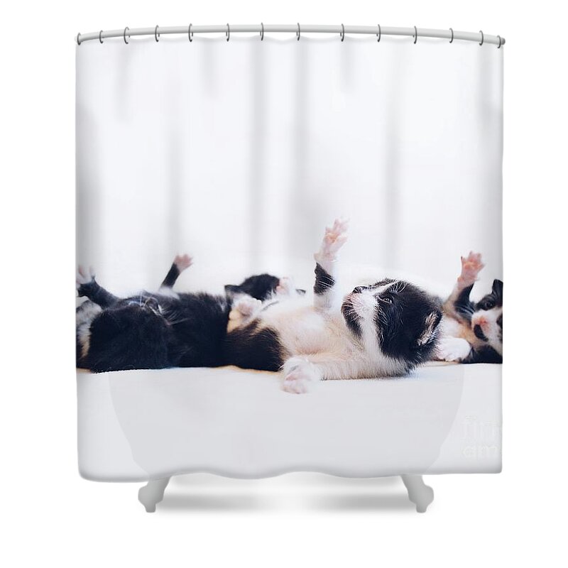 Sea Shower Curtain featuring the photograph Hi by Michael Graham