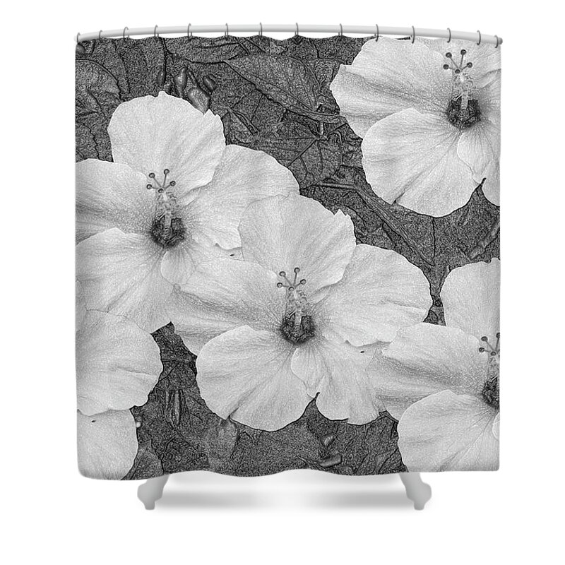 Hibiscus Shower Curtain featuring the mixed media Hibiscus Artwork B/W by Debra Kewley