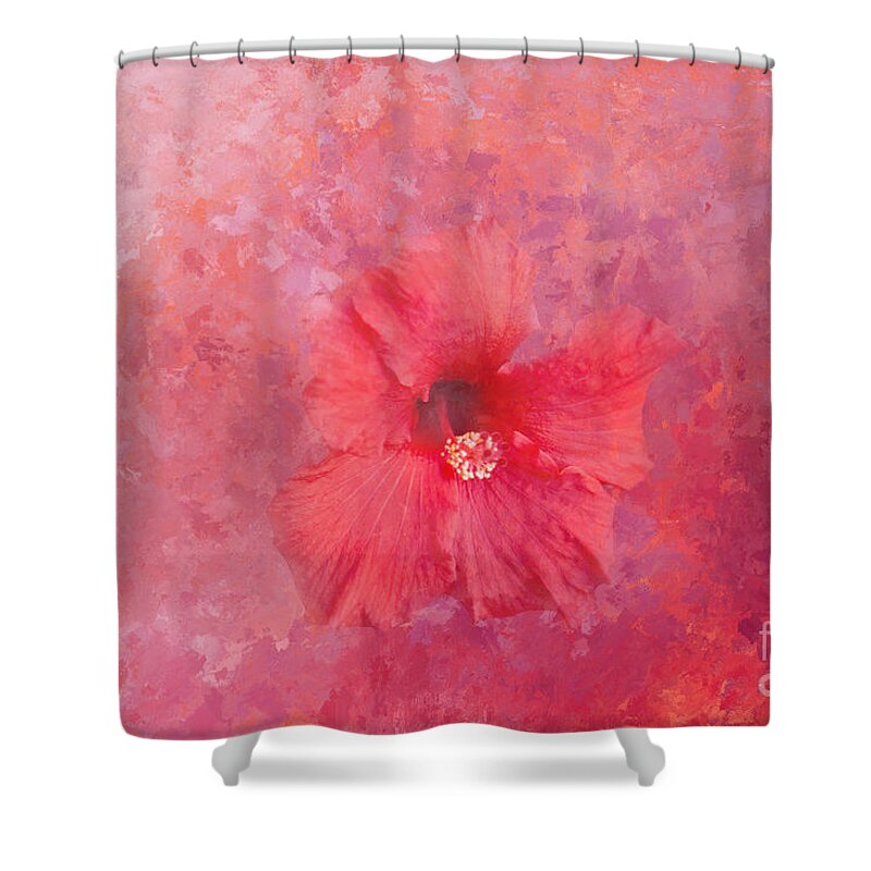 Hibiscus Shower Curtain featuring the photograph Hibiscus Dreams by Elisabeth Lucas