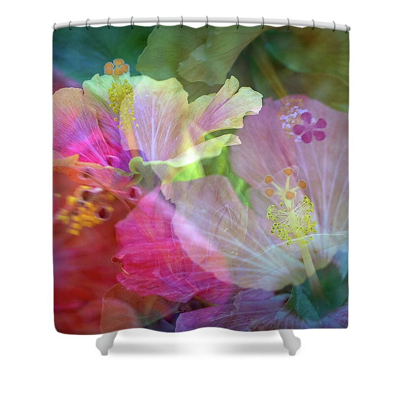 Flowers Shower Curtain featuring the photograph Hibiscus by M Kathleen Warren
