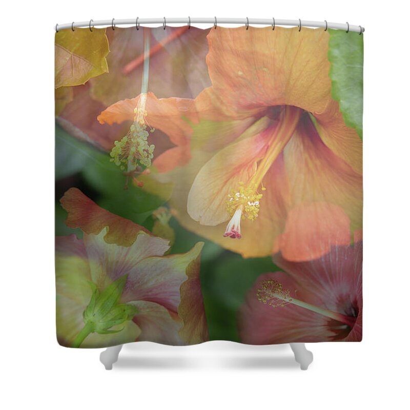 Flowers Shower Curtain featuring the photograph Hibiscus Multiple by M Kathleen Warren