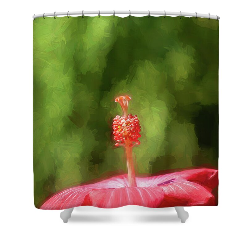 Nature Shower Curtain featuring the photograph Hibiscus Painted Lady 150 by Rich Franco