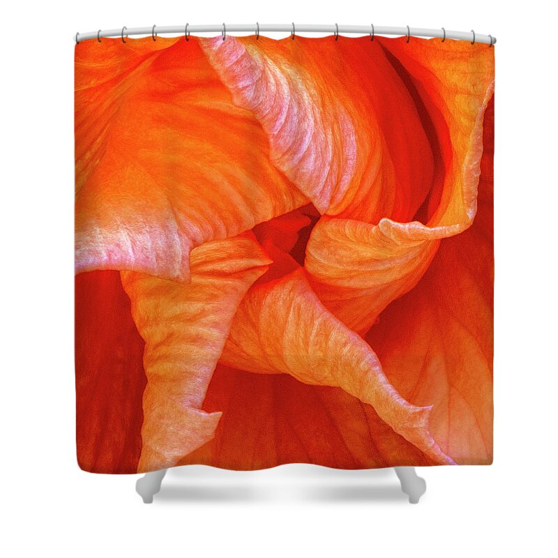 Hibiscus Shower Curtain featuring the photograph Hibiscus Pinwheel by Karen Smale