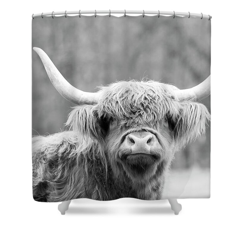 Cow Shower Curtain featuring the photograph Highland Coo by Holly Ross